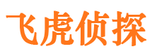 都安市调查公司